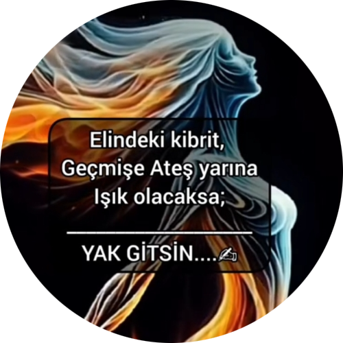 BerFiN
